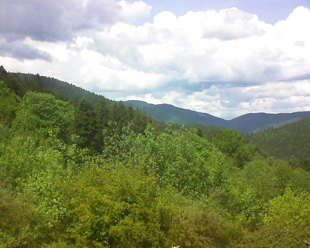 Le petit ballon vu depuis le Domaine Langmatt à Murbach le 14.05.2024 à 14:15 Le petit ballon (Alsace, Vosges) le 14.05.2024 à 14:15
