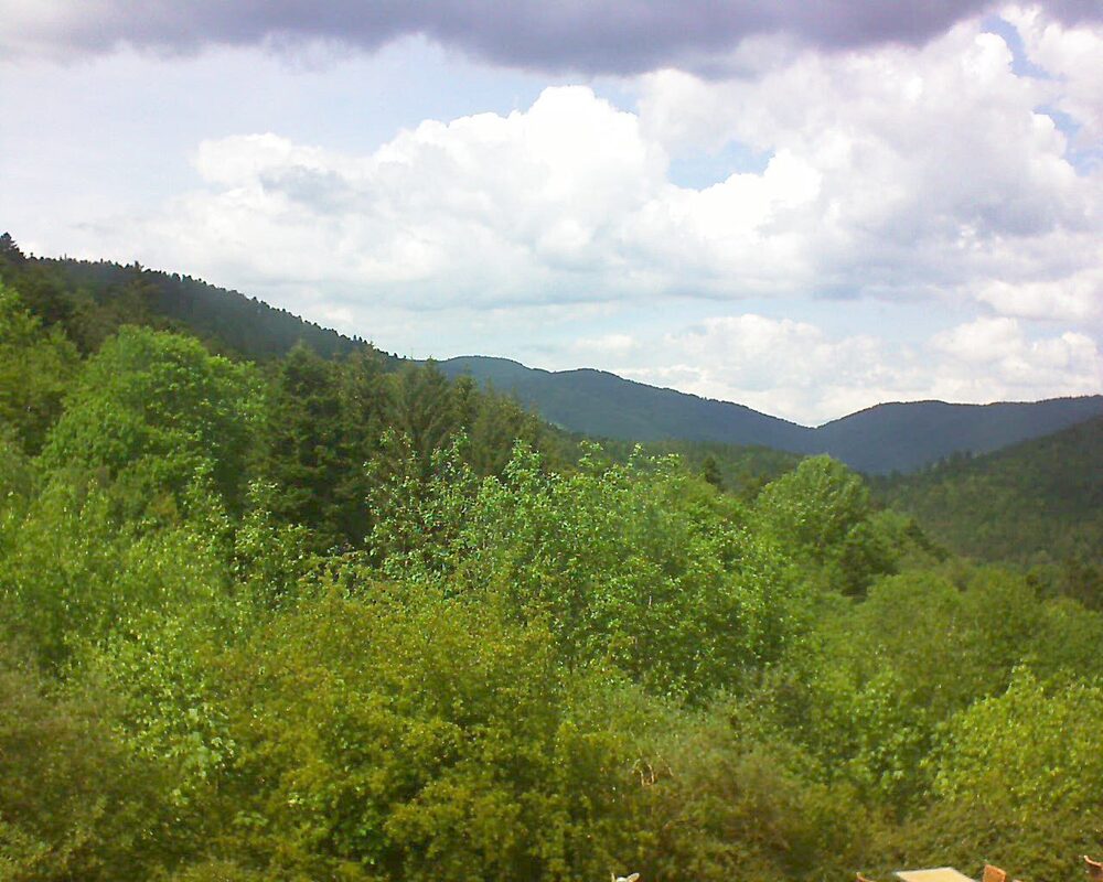 Le petit ballon (Alsace, Vosges) le 14.05.2024 à 15:00