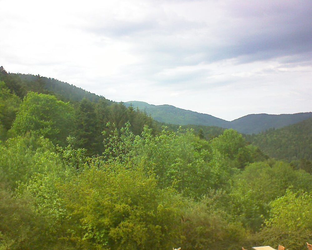 Le petit ballon vu depuis le Domaine Langmatt à Murbach le 14.05.2024 à 16:45 Le petit ballon (Alsace, Vosges) le 14.05.2024 à 16:45