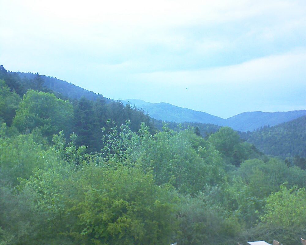 Le petit ballon (Alsace, Vosges) le 14.05.2024 à 18:15