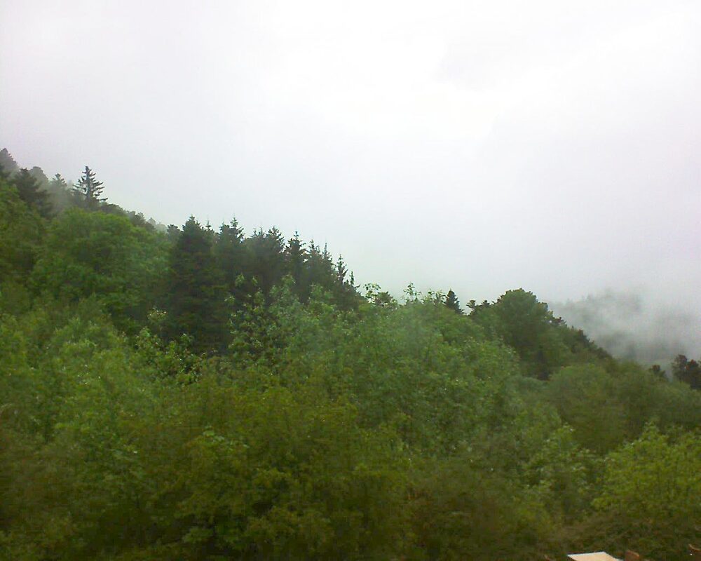 Le petit ballon (Alsace, Vosges) le 15.05.2024 à 10:30