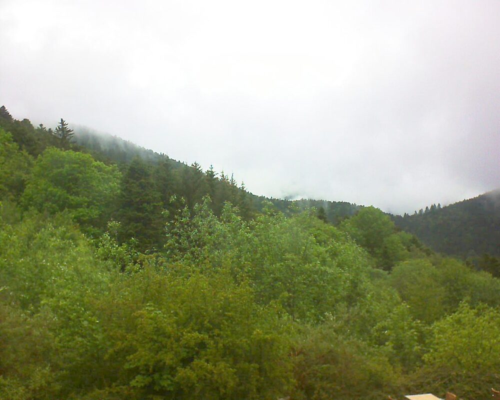 Le petit ballon vu depuis le Domaine Langmatt à Murbach le 15.05.2024 à 12:15 Le petit ballon (Alsace, Vosges) le 15.05.2024 à 12:15