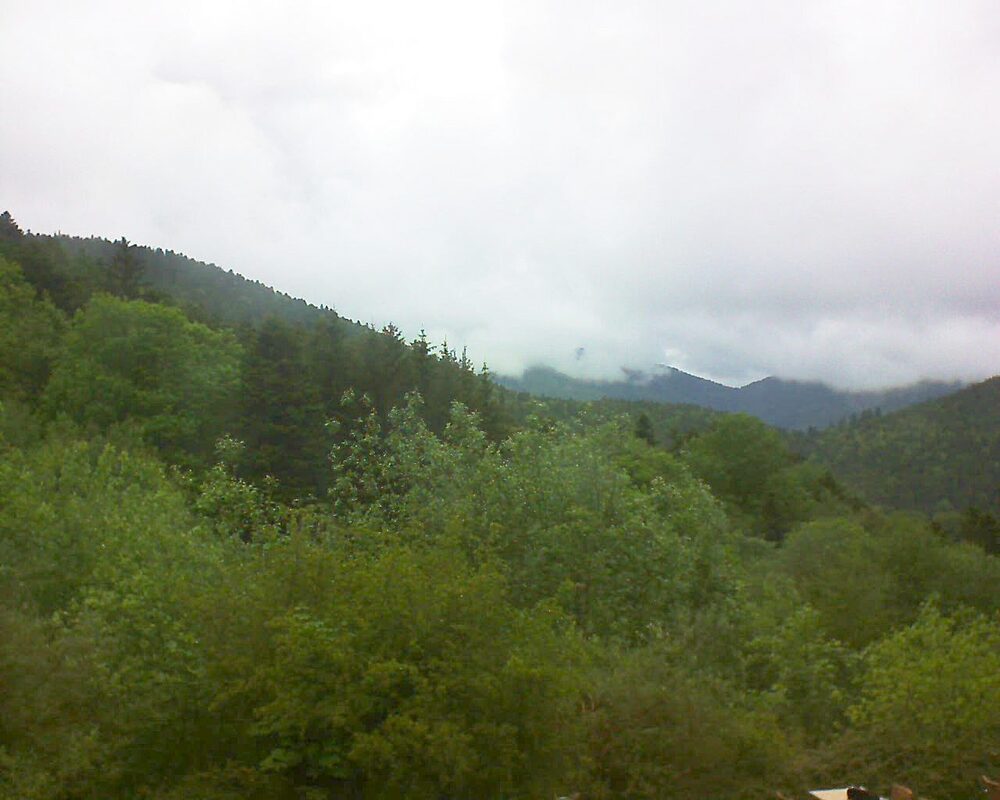 Le petit ballon (Alsace, Vosges) le 15.05.2024 à 13:15