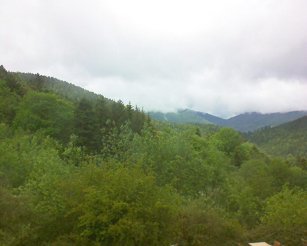 Le petit ballon (Alsace, Vosges) le 15.05.2024 à 14:00
