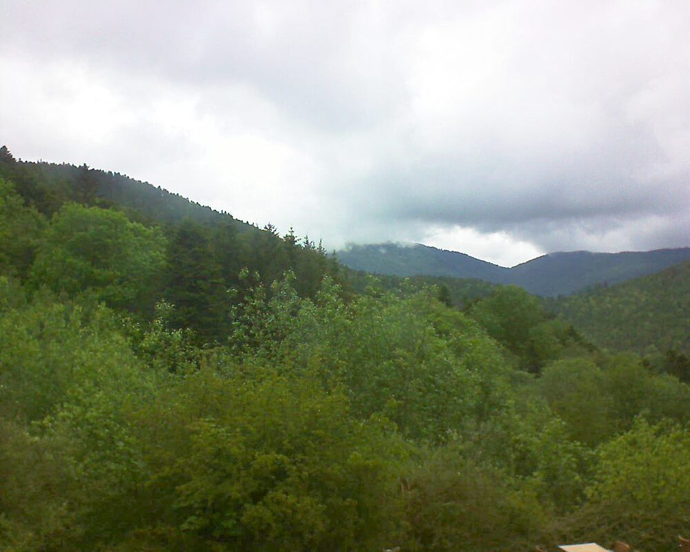 Le petit ballon vu depuis le Domaine Langmatt à Murbach le 15.05.2024 à 14:15 Le petit ballon (Alsace, Vosges) le 15.05.2024 à 14:15