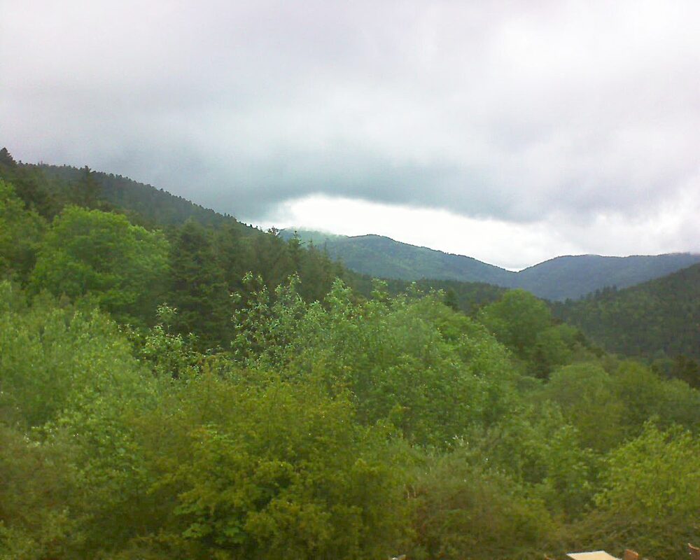 Le petit ballon vu depuis le Domaine Langmatt à Murbach le 15.05.2024 à 14:30 Le petit ballon (Alsace, Vosges) le 15.05.2024 à 14:30