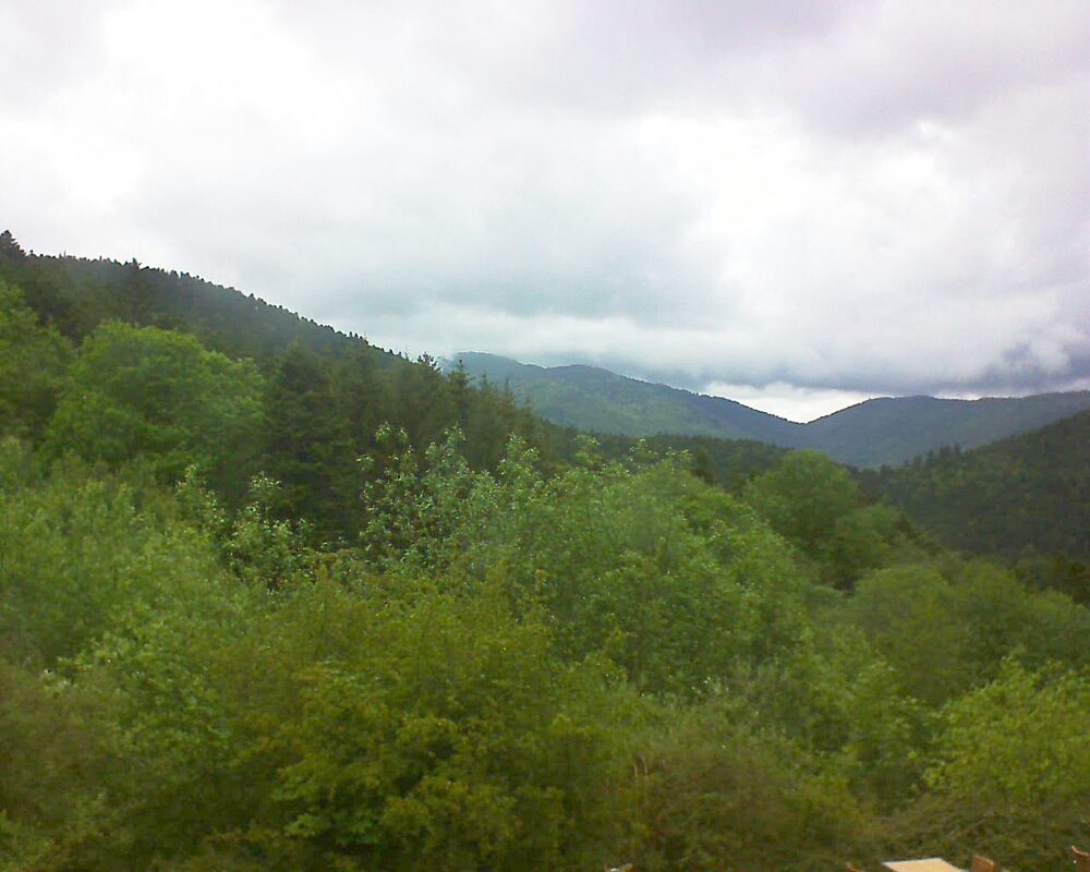 Le petit ballon vu depuis le Domaine Langmatt à Murbach le 15.05.2024 à 15:15 Le petit ballon (Alsace, Vosges) le 15.05.2024 à 15:15
