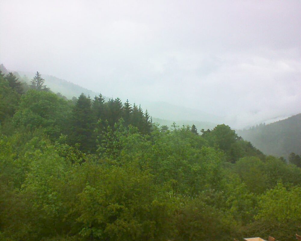 Le petit ballon (Alsace, Vosges) le 16.05.2024 à 15:00