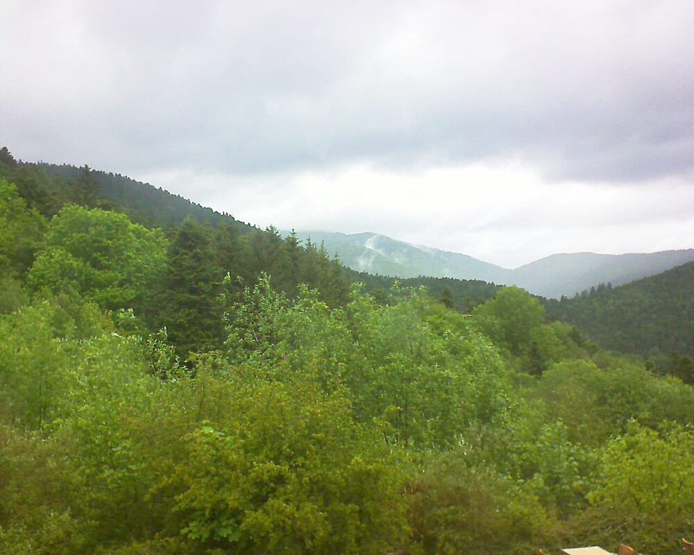 Le petit ballon (Alsace, Vosges) le 17.05.2024 à 12:00