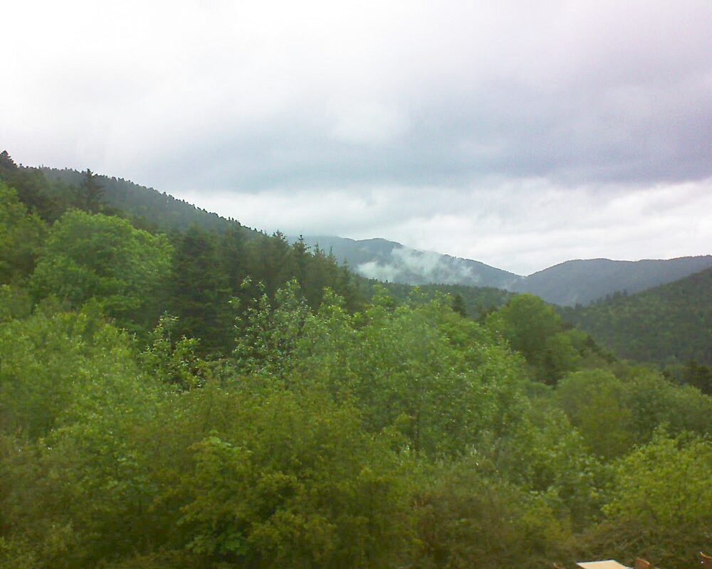 Le petit ballon (Alsace, Vosges) le 17.05.2024 à 12:15