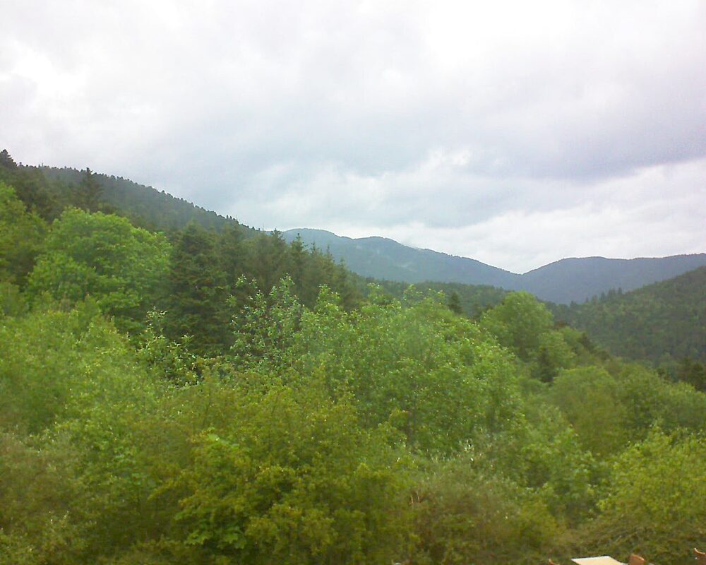 Le petit ballon (Alsace, Vosges) le 17.05.2024 à 14:00