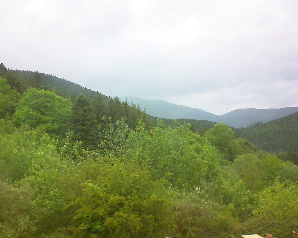 Le petit ballon (Alsace, Vosges) le 17.05.2024 à 14:15