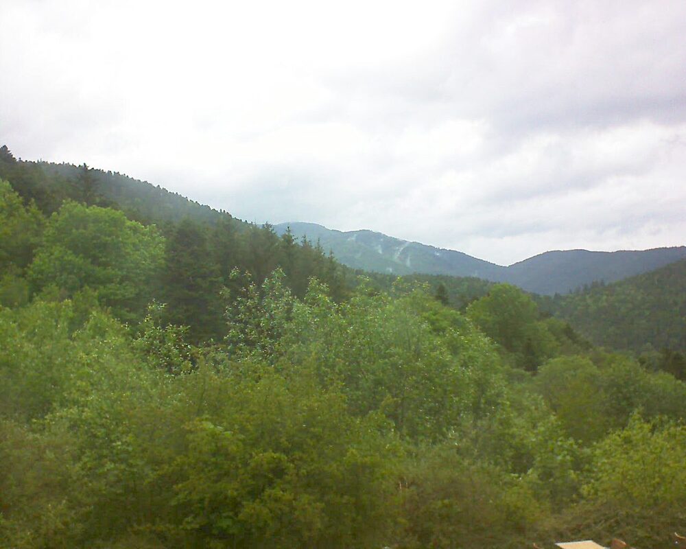 Le petit ballon (Alsace, Vosges) le 17.05.2024 à 14:45