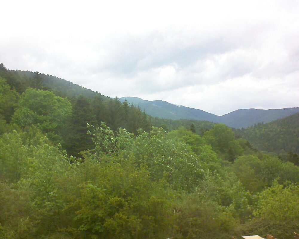 Le petit ballon vu depuis le Domaine Langmatt à Murbach le 17.05.2024 à 15:00 Le petit ballon (Alsace, Vosges) le 17.05.2024 à 15:00