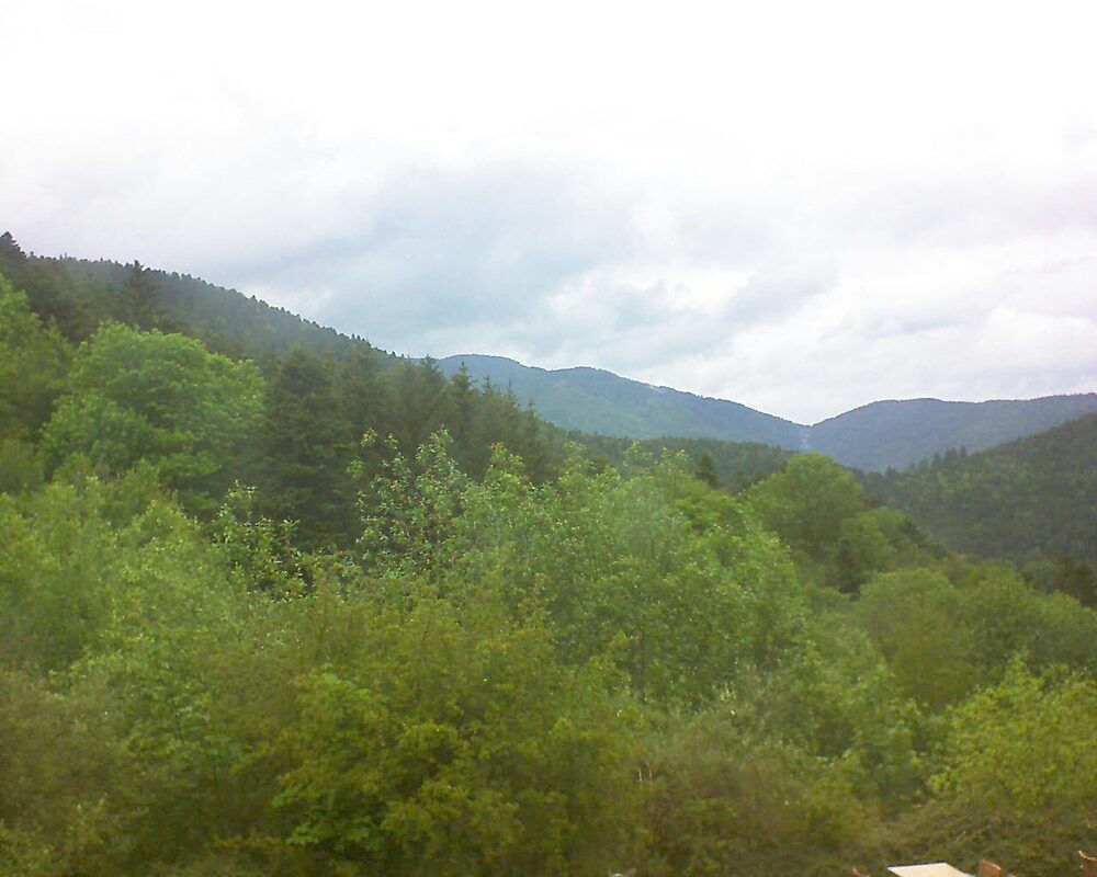 Le petit ballon vu depuis le Domaine Langmatt à Murbach le 17.05.2024 à 15:15 Le petit ballon (Alsace, Vosges) le 17.05.2024 à 15:15