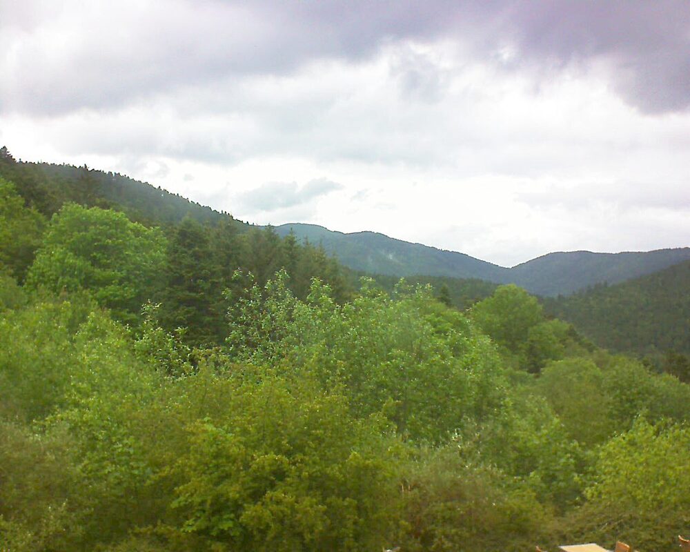 Le petit ballon (Alsace, Vosges) le 17.05.2024 à 15:30