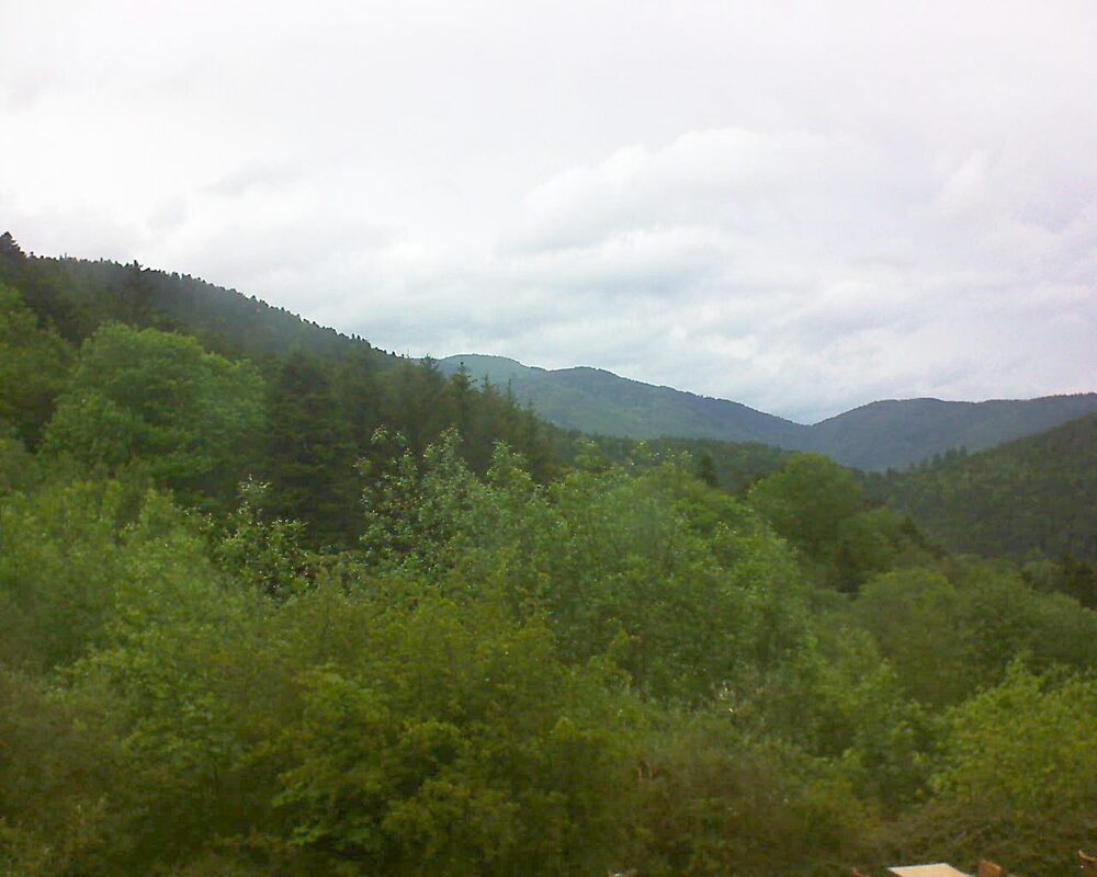 Le petit ballon (Alsace, Vosges) le 17.05.2024 à 16:00