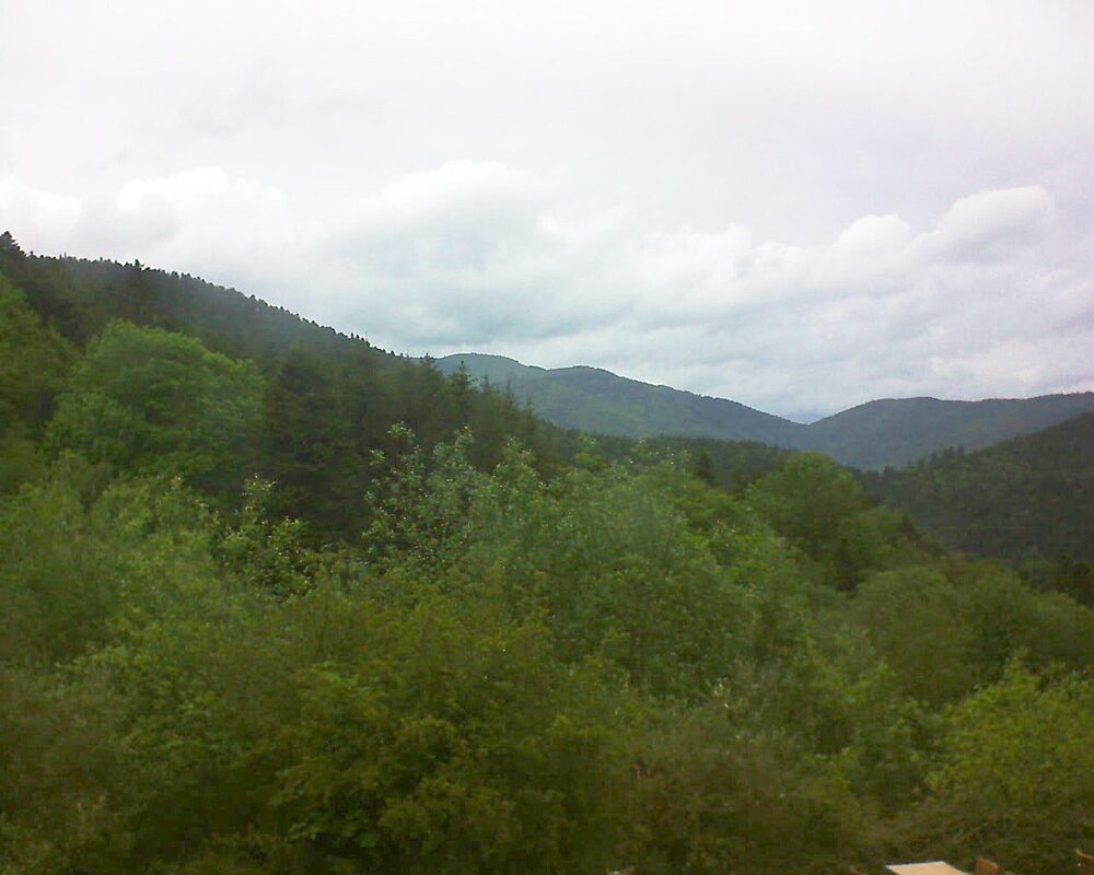 Le petit ballon (Alsace, Vosges) le 17.05.2024 à 16:15