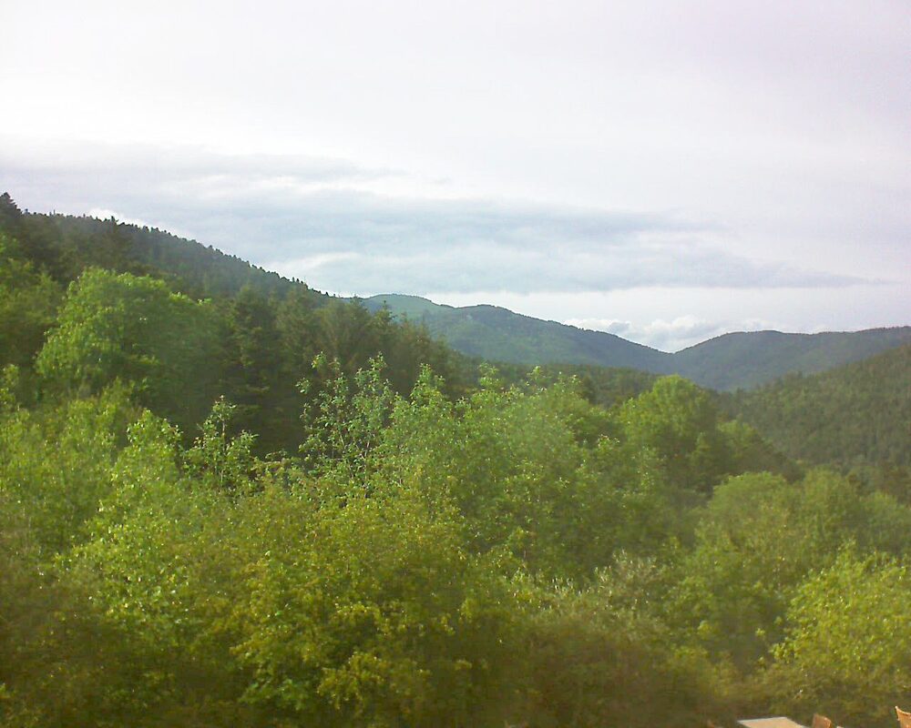 Le petit ballon (Alsace, Vosges) le 17.05.2024 à 18:00