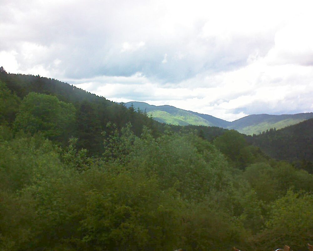 Le petit ballon (Alsace, Vosges) le 18.05.2024 à 13:45