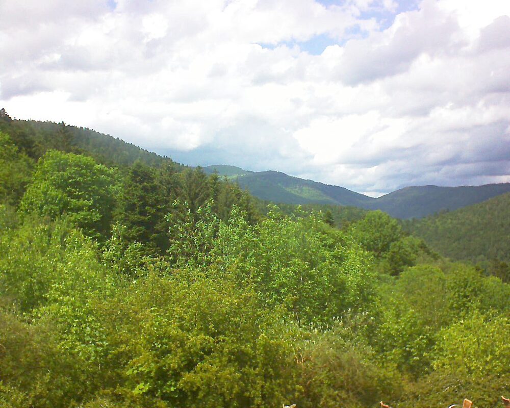 Le petit ballon (Alsace, Vosges) le 18.05.2024 à 15:00