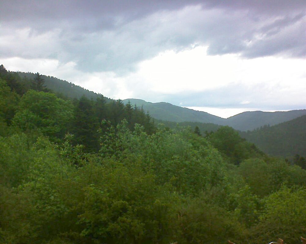 Le petit ballon (Alsace, Vosges) le 18.05.2024 à 16:30