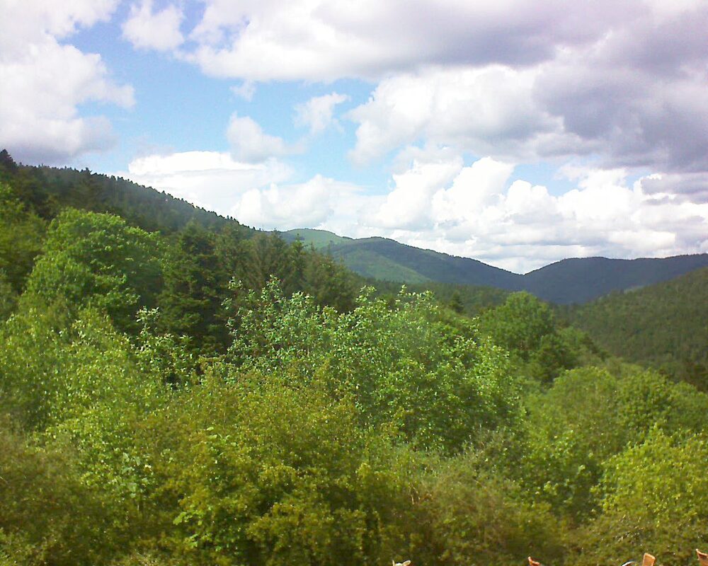 Le petit ballon (Alsace, Vosges) le 19.05.2024 à 15:45