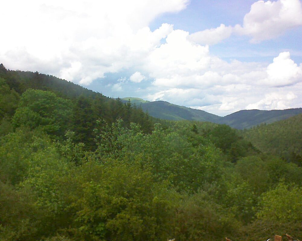 Le petit ballon (Alsace, Vosges) le 20.05.2024 à 15:00