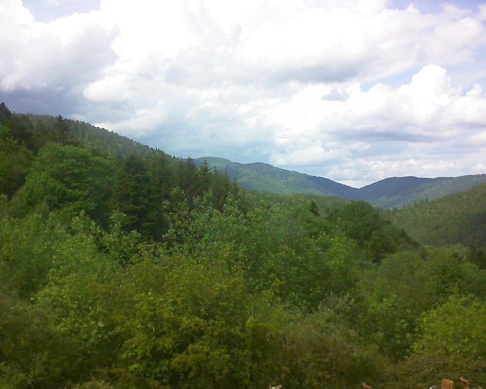 Le petit ballon vu depuis le Domaine Langmatt à Murbach le 20.05.2024 à 15:15 Le petit ballon (Alsace, Vosges) le 20.05.2024 à 15:15