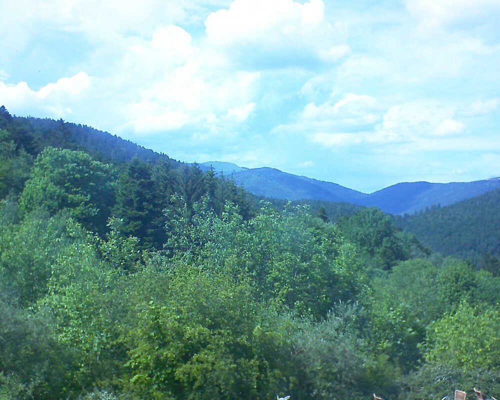 Le petit ballon (Alsace, Vosges) le 20.05.2024 à 15:45