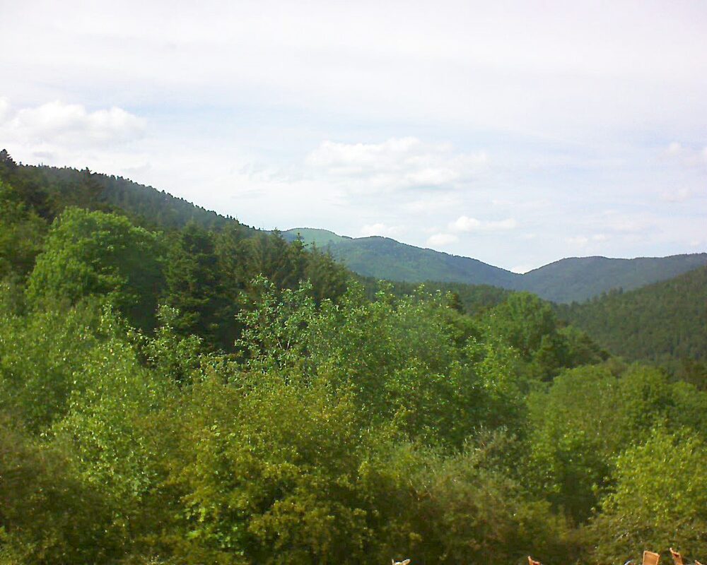 Le petit ballon vu depuis le Domaine Langmatt à Murbach le 20.05.2024 à 16:30 Le petit ballon (Alsace, Vosges) le 20.05.2024 à 16:30