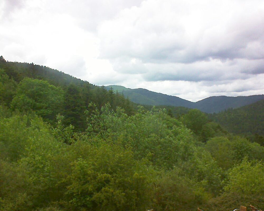 Le petit ballon (Alsace, Vosges) le 21.05.2024 à 15:15