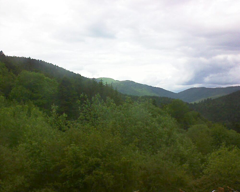 Le petit ballon (Alsace, Vosges) le 21.05.2024 à 16:15