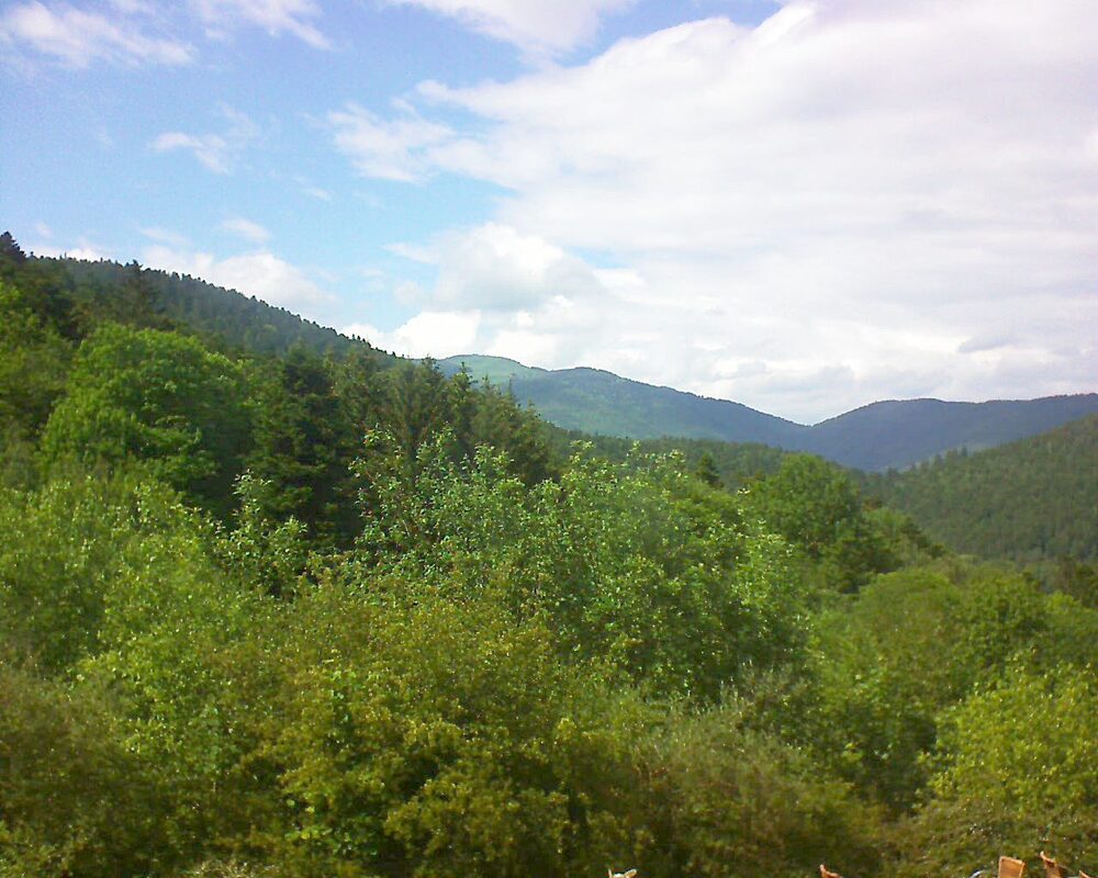 Le petit ballon (Alsace, Vosges) le 22.05.2024 à 16:00