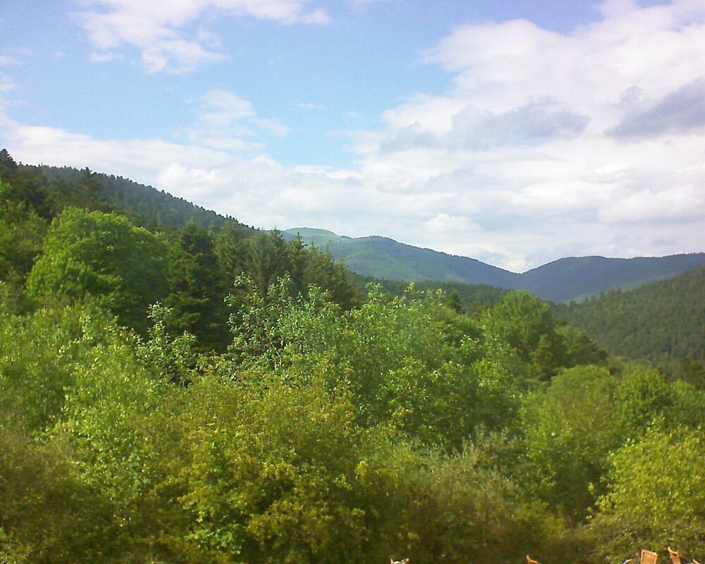 Le petit ballon vu depuis le Domaine Langmatt à Murbach le 22.05.2024 à 17:00 Le petit ballon (Alsace, Vosges) le 22.05.2024 à 17:00