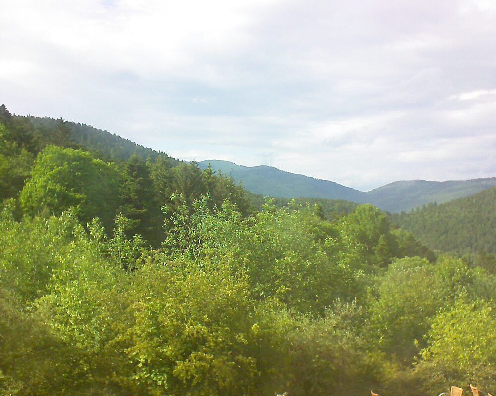 Le petit ballon (Alsace, Vosges) le 22.05.2024 à 17:30