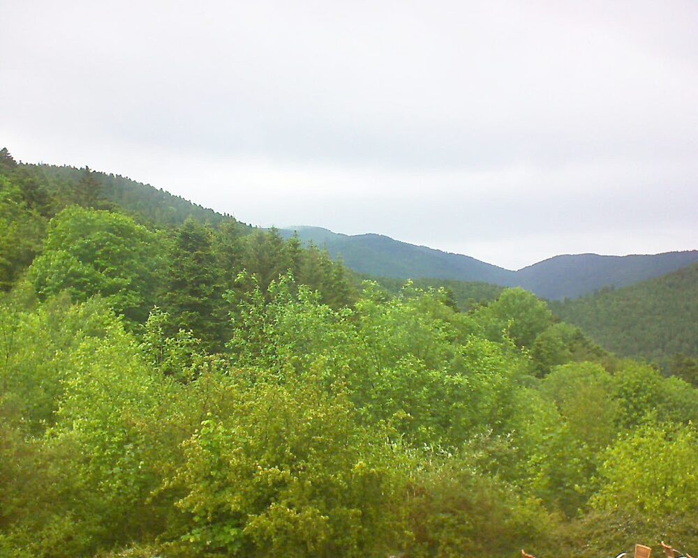 Le petit ballon vu depuis le Domaine Langmatt à Murbach le 24.05.2024 à 14:00 Le petit ballon (Alsace, Vosges) le 24.05.2024 à 14:00