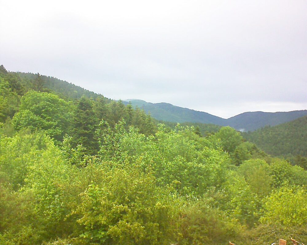 Le petit ballon (Alsace, Vosges) le 24.05.2024 à 14:15
