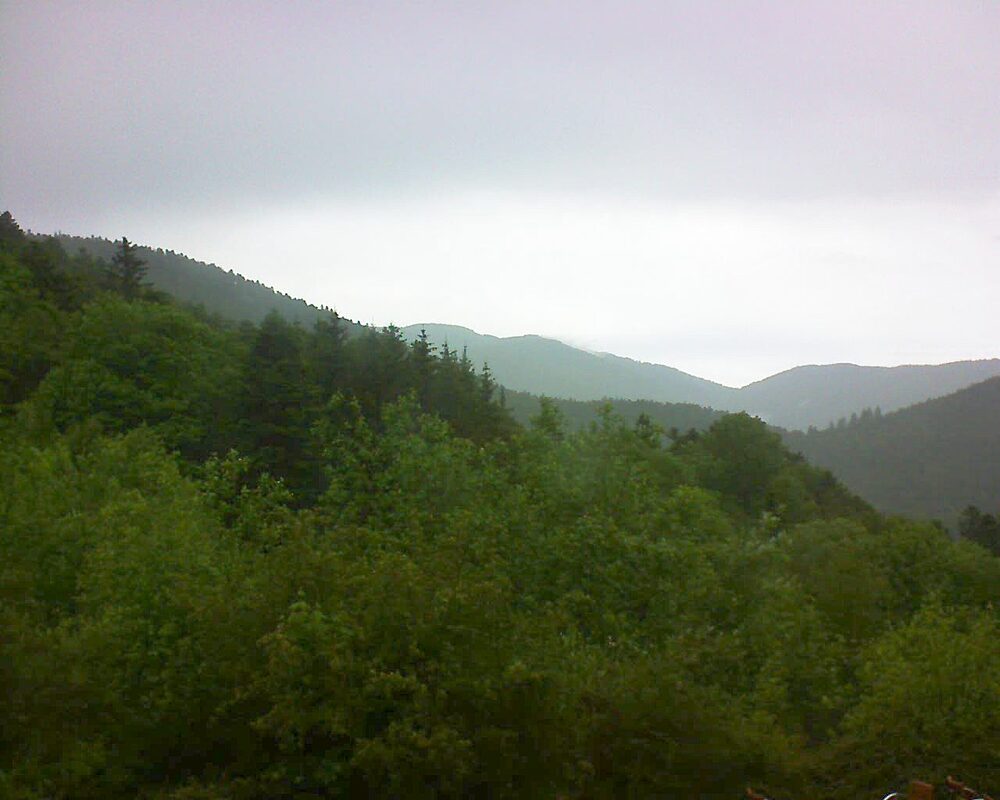 Le petit ballon (Alsace, Vosges) le 24.05.2024 à 15:15