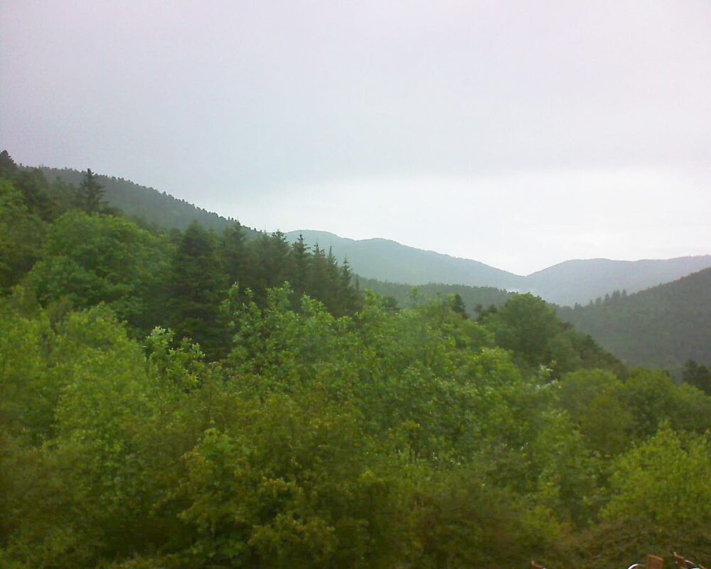 Le petit ballon (Alsace, Vosges) le 24.05.2024 à 15:30