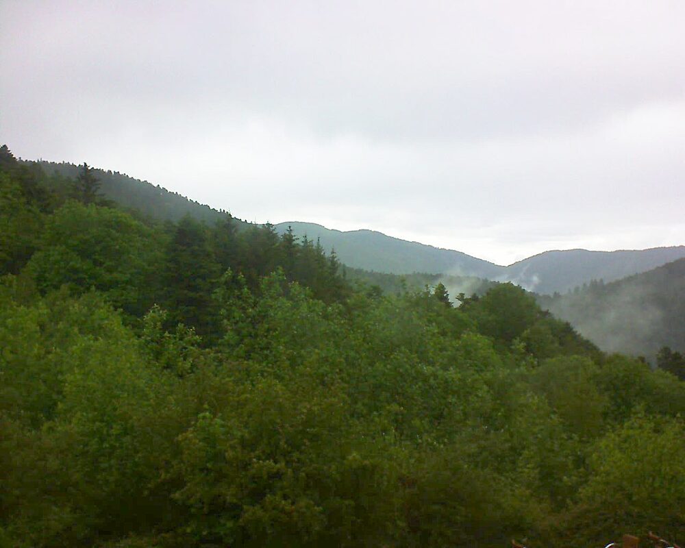 Le petit ballon (Alsace, Vosges) le 24.05.2024 à 16:15