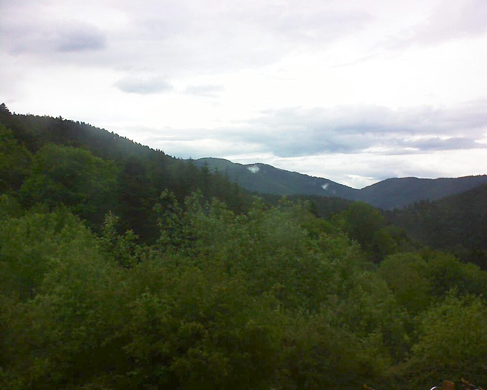 Le petit ballon (Alsace, Vosges) le 24.05.2024 à 18:15