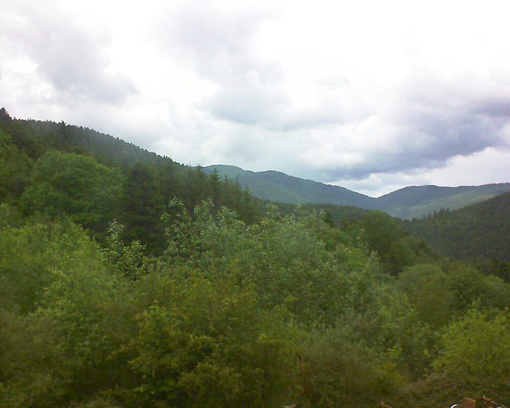 Le petit ballon vu depuis le Domaine Langmatt à Murbach le 25.05.2024 à 14:00 Le petit ballon (Alsace, Vosges) le 25.05.2024 à 14:00