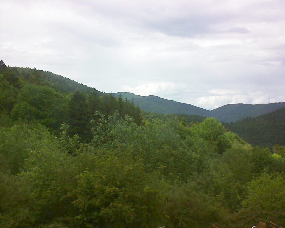 Le petit ballon vu depuis le Domaine Langmatt à Murbach le 25.05.2024 à 15:15 Le petit ballon (Alsace, Vosges) le 25.05.2024 à 15:15