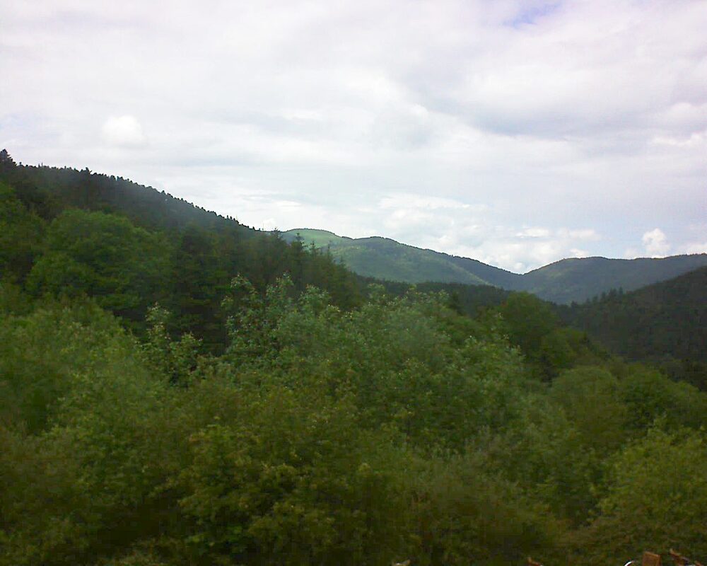 Le petit ballon (Alsace, Vosges) le 25.05.2024 à 15:30