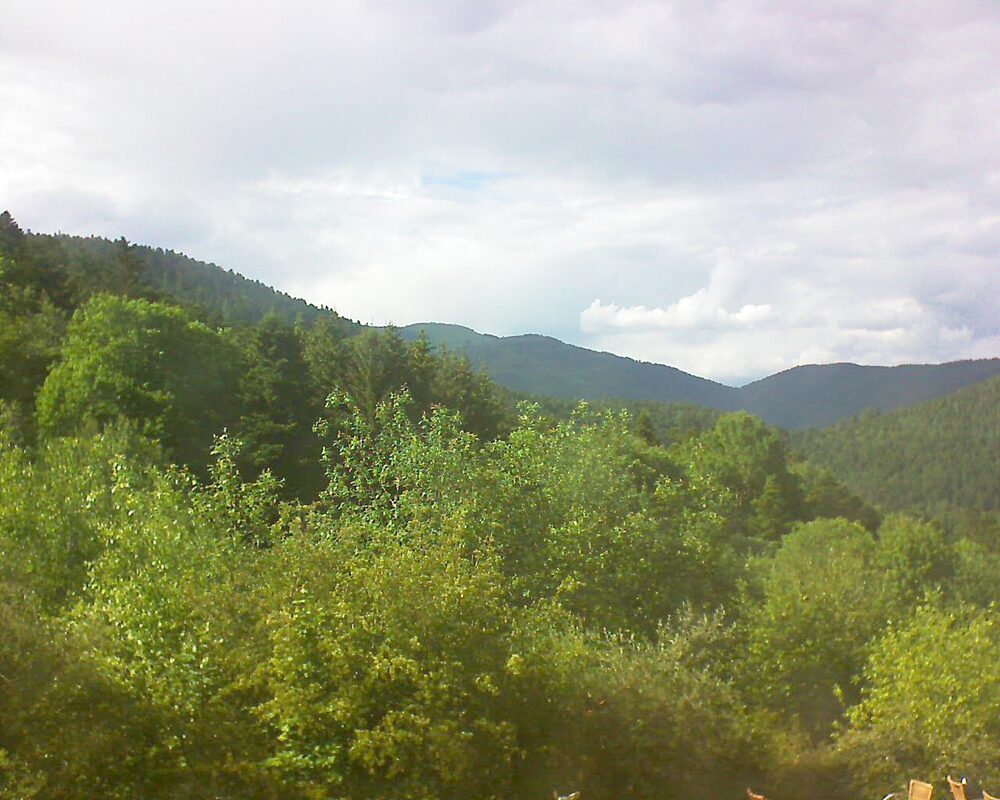 Le petit ballon vu depuis le Domaine Langmatt à Murbach le 25.05.2024 à 17:30 Le petit ballon (Alsace, Vosges) le 25.05.2024 à 17:30