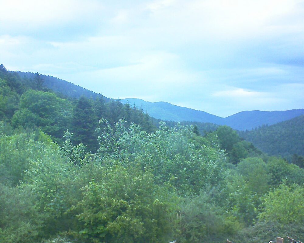 Le petit ballon vu depuis le Domaine Langmatt à Murbach le 26.05.2024 à 15:30 Le petit ballon (Alsace, Vosges) le 26.05.2024 à 15:30