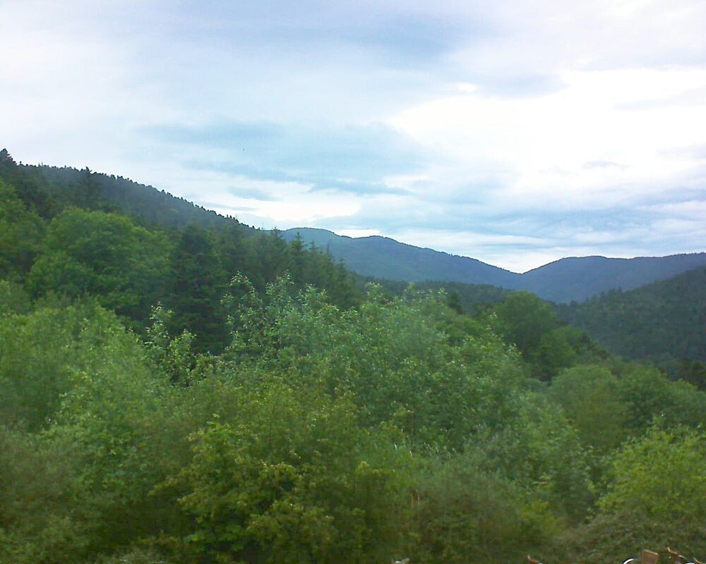 Le petit ballon (Alsace, Vosges) le 26.05.2024 à 18:30