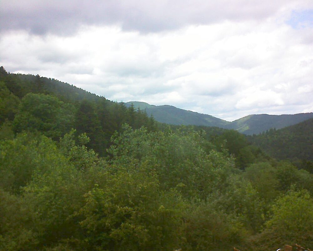 Le petit ballon (Alsace, Vosges) le 28.05.2024 à 12:15