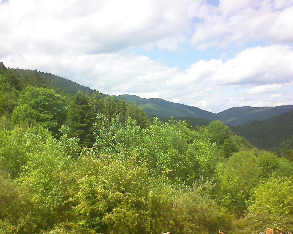 Le petit ballon vu depuis le Domaine Langmatt à Murbach le 28.05.2024 à 15:15 Le petit ballon (Alsace, Vosges) le 28.05.2024 à 15:15